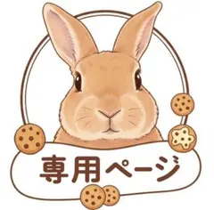 オーダーメイドアイシングクッキー専用ページ3/28使用