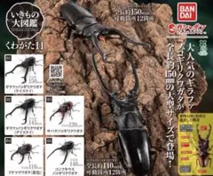 Item thumbnail for item 307d1b47-c4d5-40fb-900f-50a55ea64482