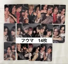 &TEAM Back to Life FUMA ユニットトレカ コンプ 14枚