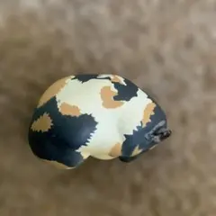 Item thumbnail for item 2ffcb66e-ff2c-487b-bfff-ef5f79e20634