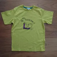 〈未使用〉恐竜イラストTシャツのサムネイル