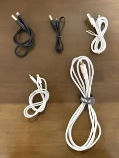 Apple Anker他 タイプC Lightning Micro-B ケーブル