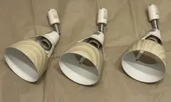 Item thumbnail for item 753d16a3-98dd-42d3-8c0e-bc8ccc2f63fb