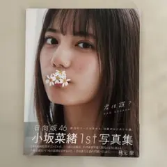 小坂菜緒　写真集　君は誰？