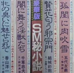 絶版】秘小説93年7月 千草忠夫 結城彩雨 前田寿按 楡畑雄二 椋陽児 他