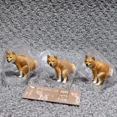 勝ち勝ちくん カチカチくんメルヘンワールド限定 ポチポぬ君 - メルカリ