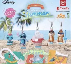 ディズニー サマー めじるしアクセサリー チップ