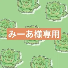 みーあ様 リクエスト 2点 まとめ商品