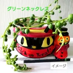 グリーンネックレス 多肉植物 カット苗 寄せ植え B おまけ☆シュウレイ葉挿し付