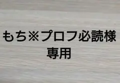 あつまれどうぶつの森amiiboカード289【ショーイ】ぼんやりペンギンあつ森
