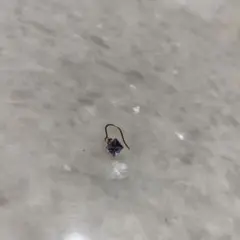 Item thumbnail for item 9afca37b-cb0b-49f8-9403-af2fad840019