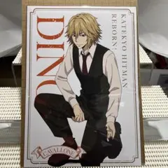 家庭教師ヒットマンREBORN! The cat A5ポストカード ディーノ①