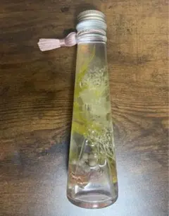 バーバリウム　花　フラワー