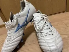 Item thumbnail for item f087e3d0-2aee-4180-98c0-4b16c29ce4a4