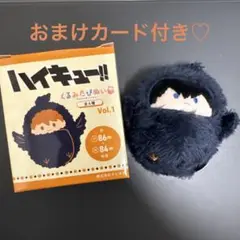 ハイキュー!! くるみたぴぬい 影山飛雄 おまけ付き