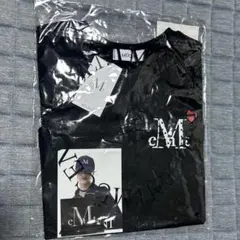 Mr.Children Tシャツ IT'S A WONDERFUL WORLD - メルカリ