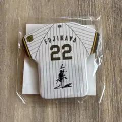 FUJIKAWA 22番 記念グッズ