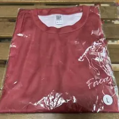 ノーザンホースパークマラソン2026 Tシャツ Lサイズのサムネイル