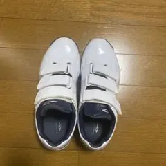 Item thumbnail for item 199217fd-caed-4a27-b356-4a3a92caa871