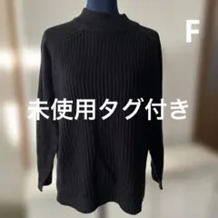 未使用タグ付き　earth music&ecology レディース　フリーサイズ