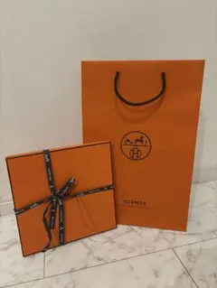 エルメス HERMES オレンジボックス 空箱 070bis 靴紐 保存袋 - メルカリ
