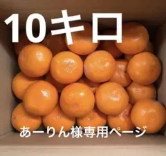 美味しいみかん Lサイズ 10キロ　(訳あり)送料込み！　発送日を説明欄で確認