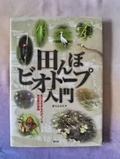 ひよよ様 リクエスト 2点 まとめ商品