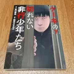 ケーキの切れない非行少年たち 7