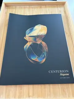 Item thumbnail for item b297c0c1-eb70-4ff4-9c37-7bc403b14187