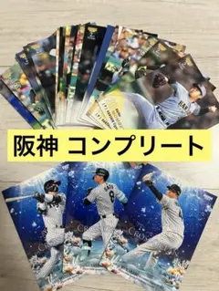 阪神タイガース 2025 BBM 2nd コンプリートセット
