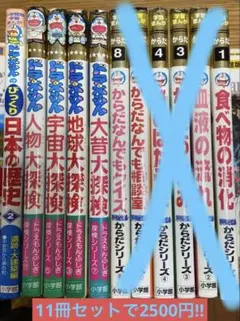 Item thumbnail for item 7440c34c-1cfb-4035-8576-29ceb7d98c3a