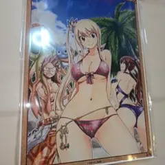 FAIRY TAIL　ビジュアルアクリルプレート