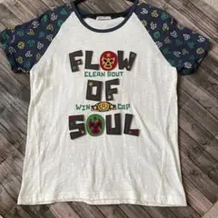 Item thumbnail for item b90f4938-27ea-44a9-9aca-7a88efee9ba7