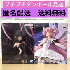 【未使用】まどか☆マギカ　フィギュア　EVOLVE 悪魔ほむら　アルティメット