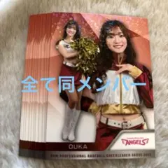 Wil様 リクエスト 2点 まとめ商品