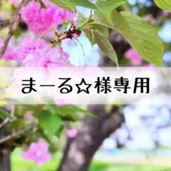 まーる☆様専用