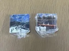 光の美術館 木漏れ日が紡ぐルノワールの軌跡