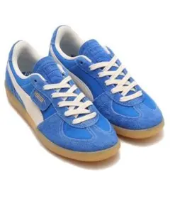 Item thumbnail for item 2ff3cf03-5782-4509-bcbc-7bbd7c04cfe5