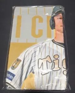 阪神タイガース 2024 チャンピオンユニ 選手フォトフェイスタオル 近本光司
