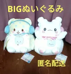 サンリオ　ぽよよんえあぽーと　BIGぬいぐるみ 　まるもふびより、はなまるおばけ