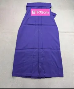 Item thumbnail for item dfbc3b35-05fa-4430-953a-0ee1e46d42d0