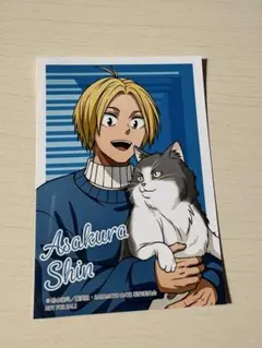 サカモトデイズ 猫と戯れ 特典 ブロマイド カード アニメイトフェア