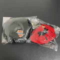 Item thumbnail for item defec254-0924-4315-8bd6-eeda172792ae