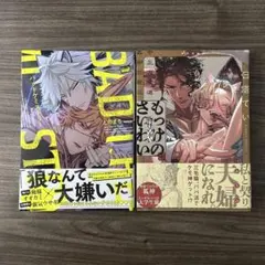 2026年最新】bl まとめ売りの人気アイテム - メルカリ