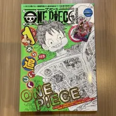 ワンピースマガジンvol17 付録付き 花魁ヤマトプロモ 2冊 - メルカリ
