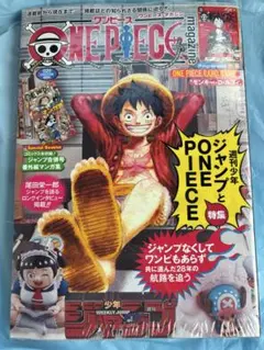 ONE PIECE magazine　ワンピース マガジン 20号