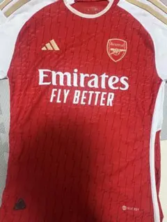 NIKE ナイキ サッカー 韓国代表 ユニフォーム パク・チソン 背番号21 L