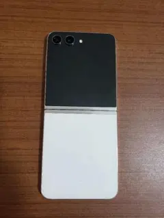 Item thumbnail for item 79ee89f1-eb3b-449b-ab79-52dc84904b44