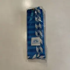 アネッサ　オリジナルポーチ