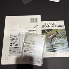 2026年最新】サカナクション 魚大図鑑の人気アイテム - メルカリ